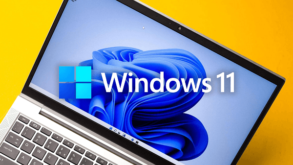 windows