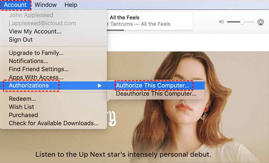 Authorize This Computer